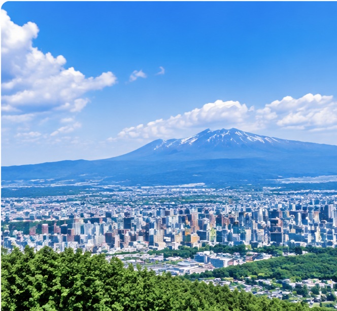 北海道 / A店の地域イメージ